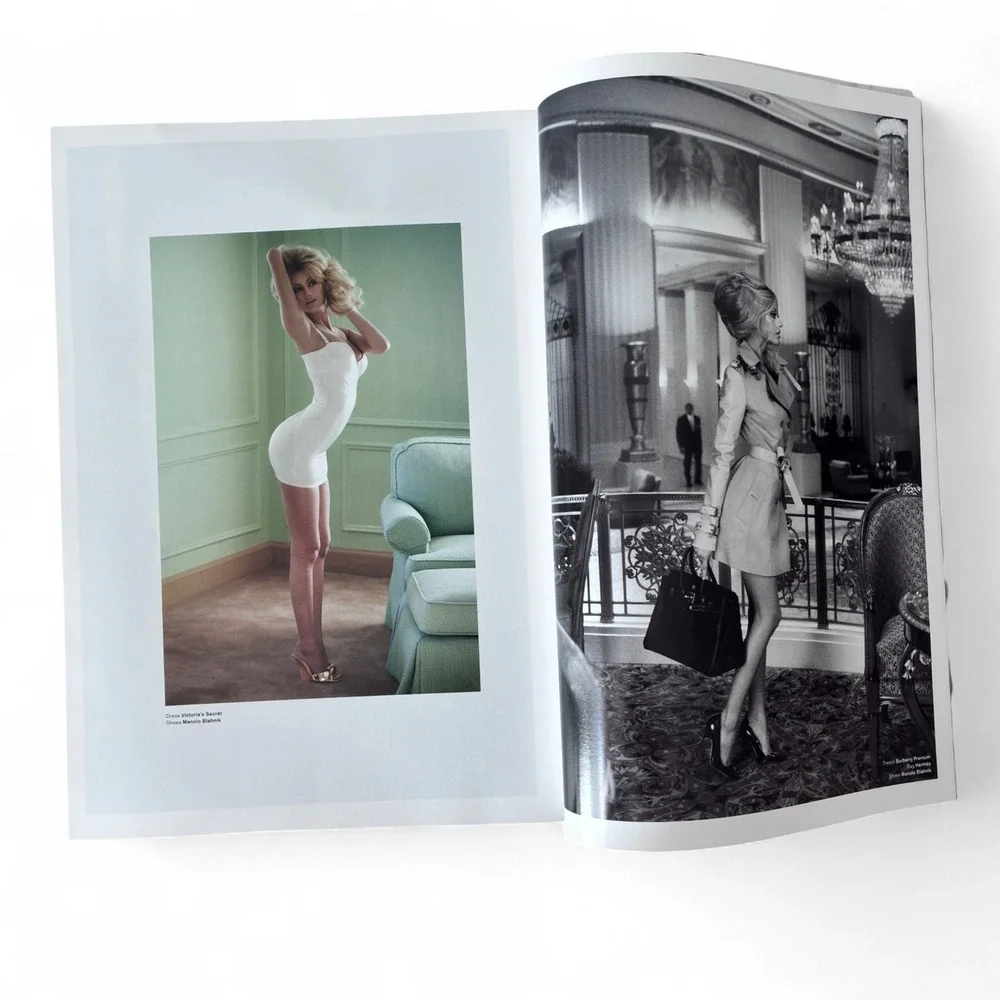 Britney Spears V Magazine Issue #70 Spring 2011 PINK COVER